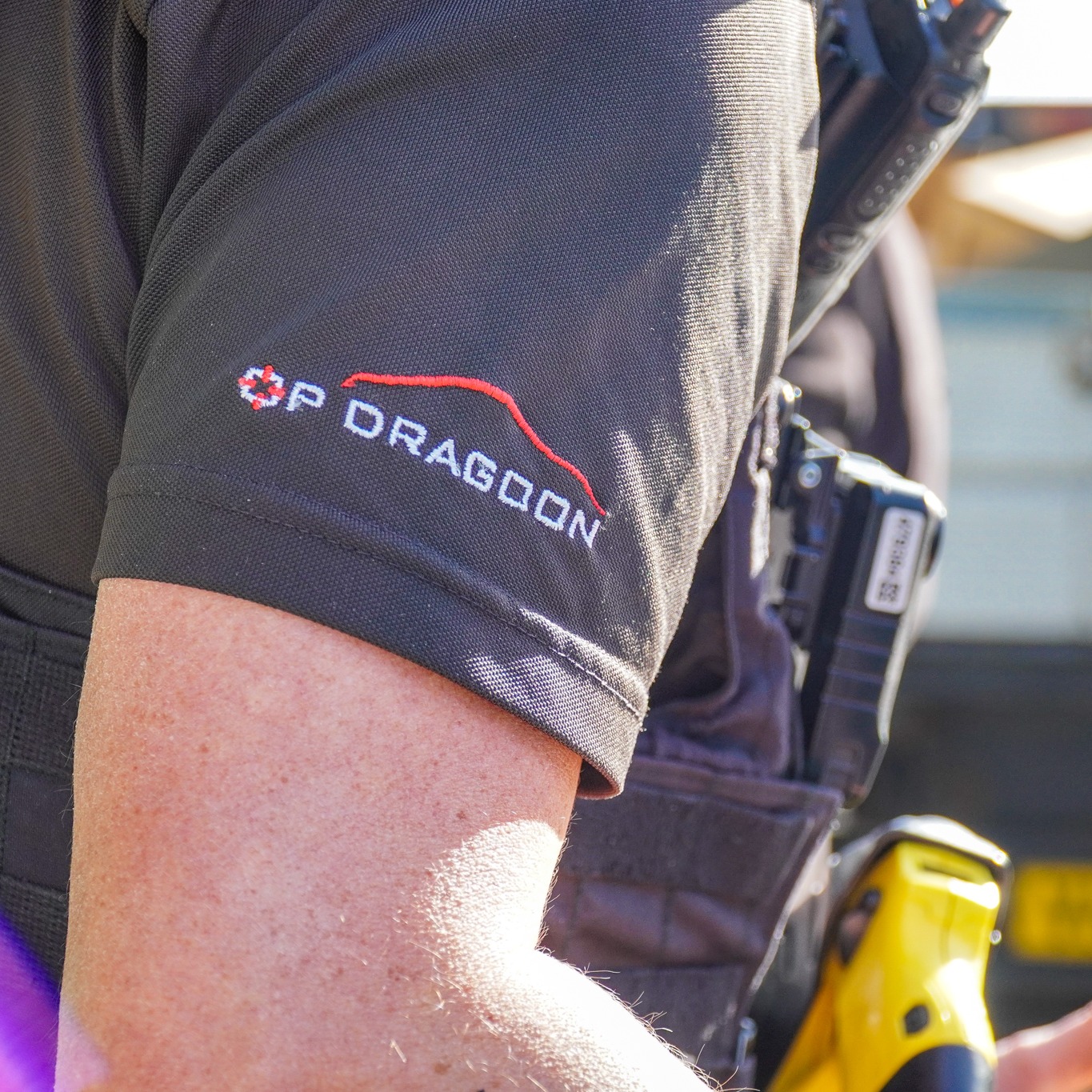 Dragoon officer and logo