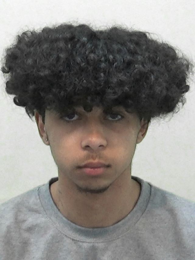 Leandro Lopes