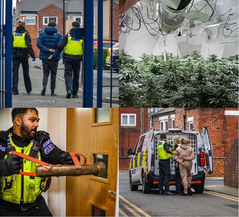 Image showing collage of county lines activity including a cannabis farm