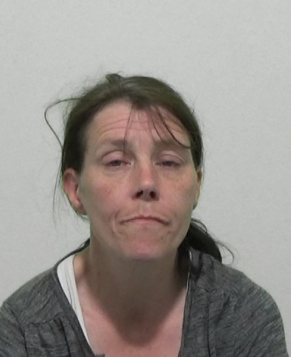 Mugshot of Julie Shields