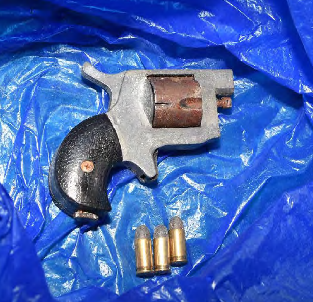 A firearm and ammunition. 